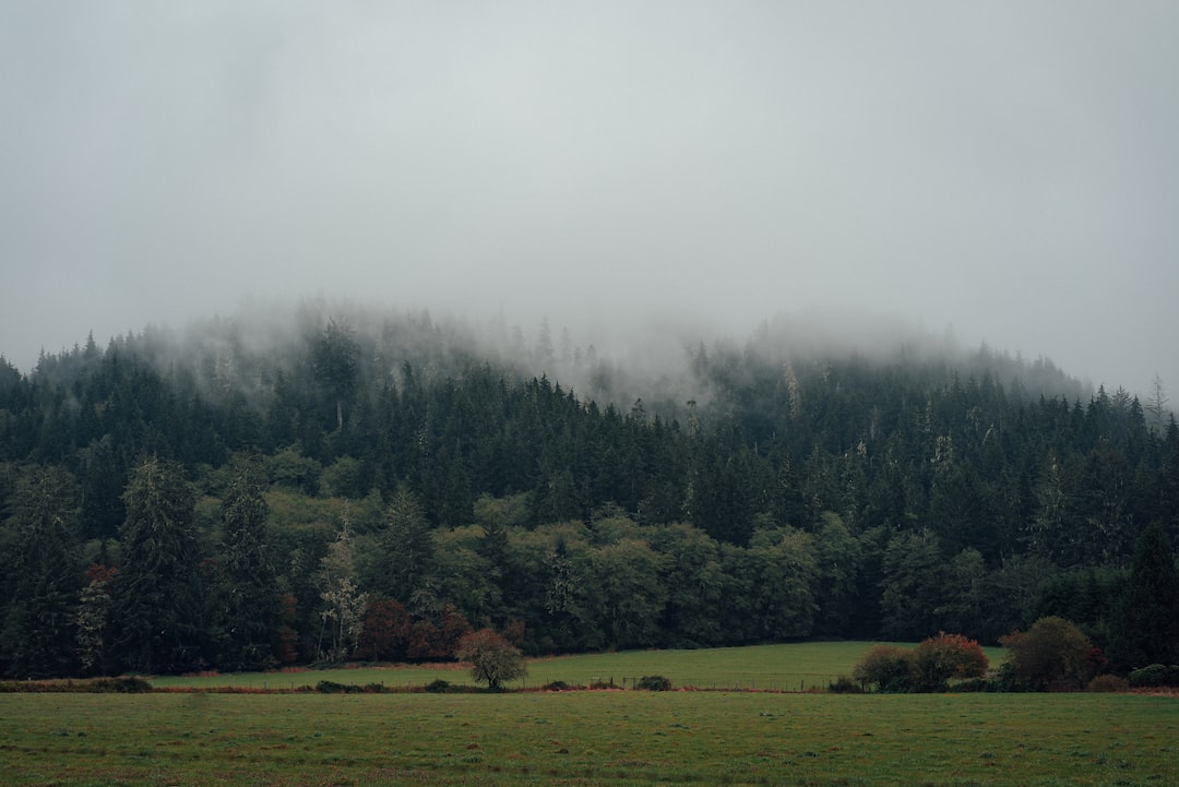Mill Creek, Washington